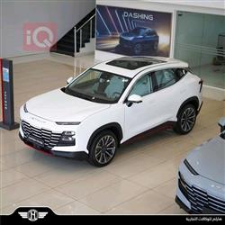 جیتۆر داشينگ